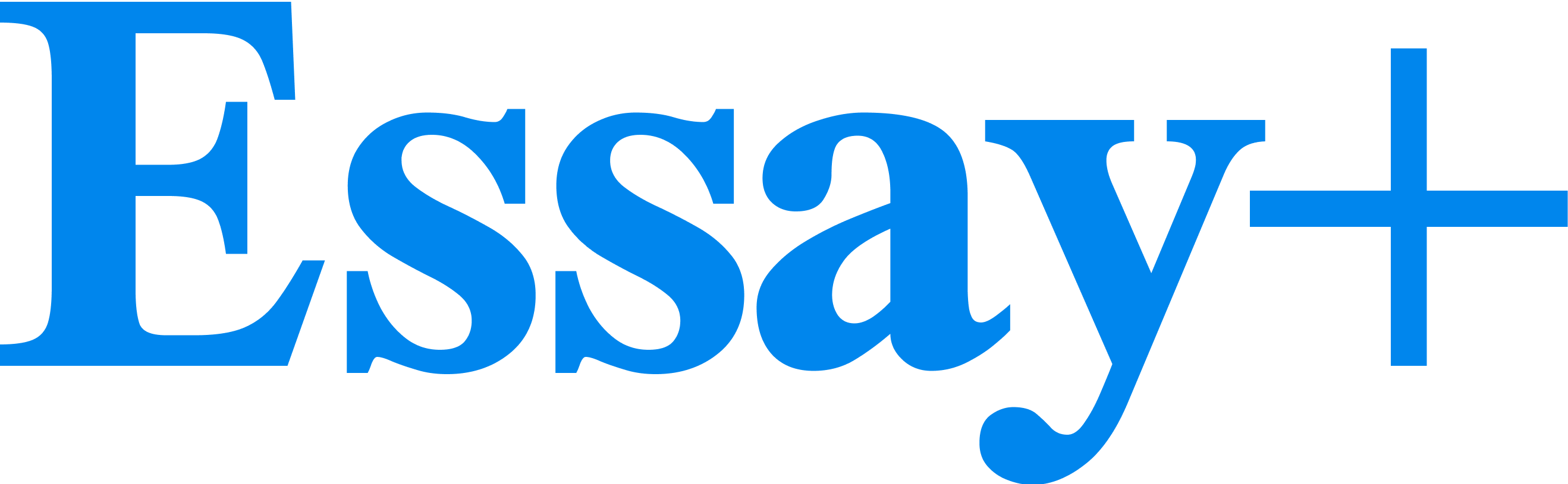 Essay+